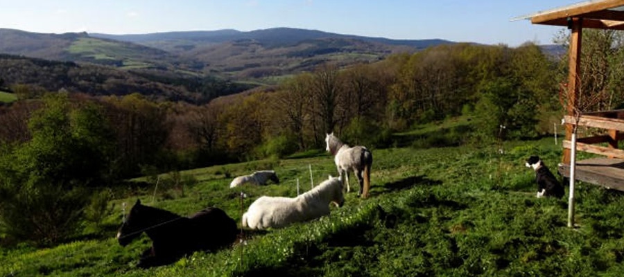 Gîte Naturavous & Le Grand Roc