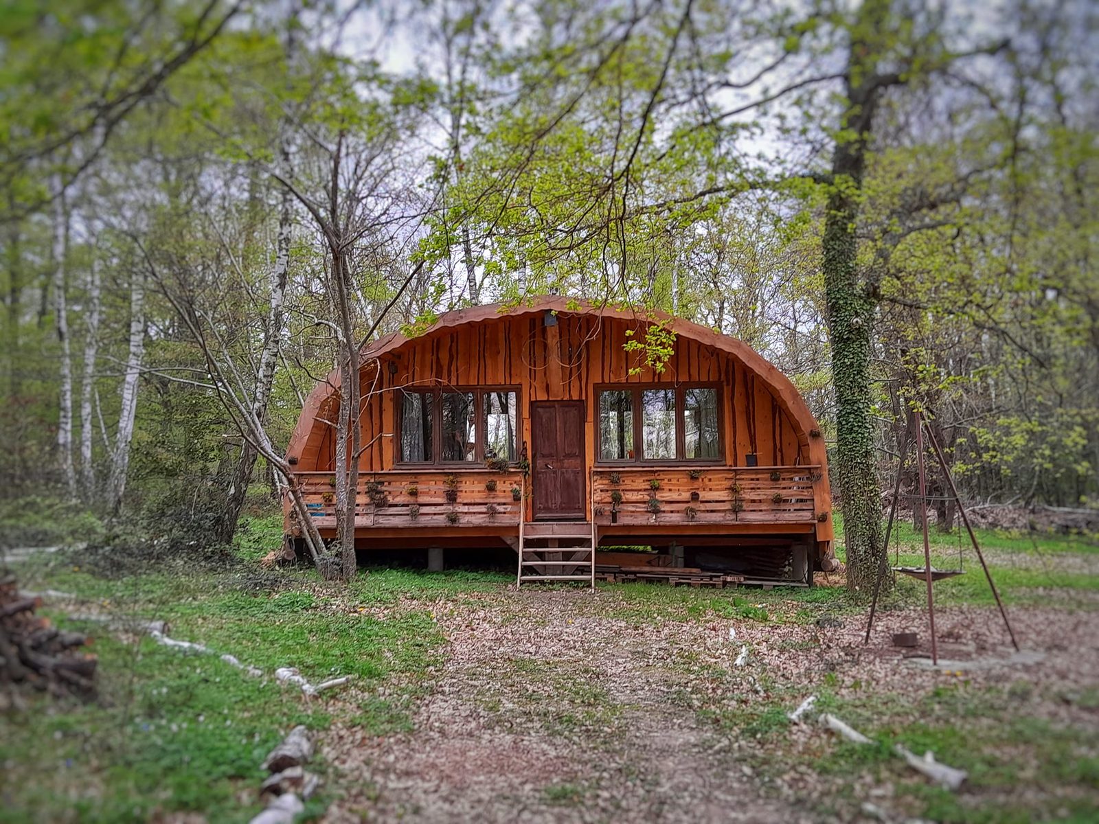 Home des bois