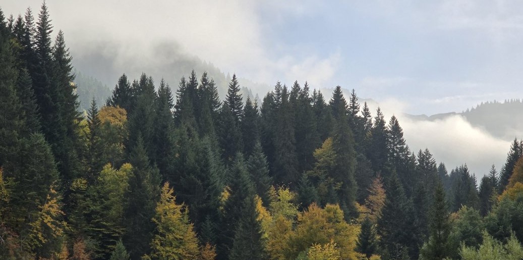 La cabane du lac
