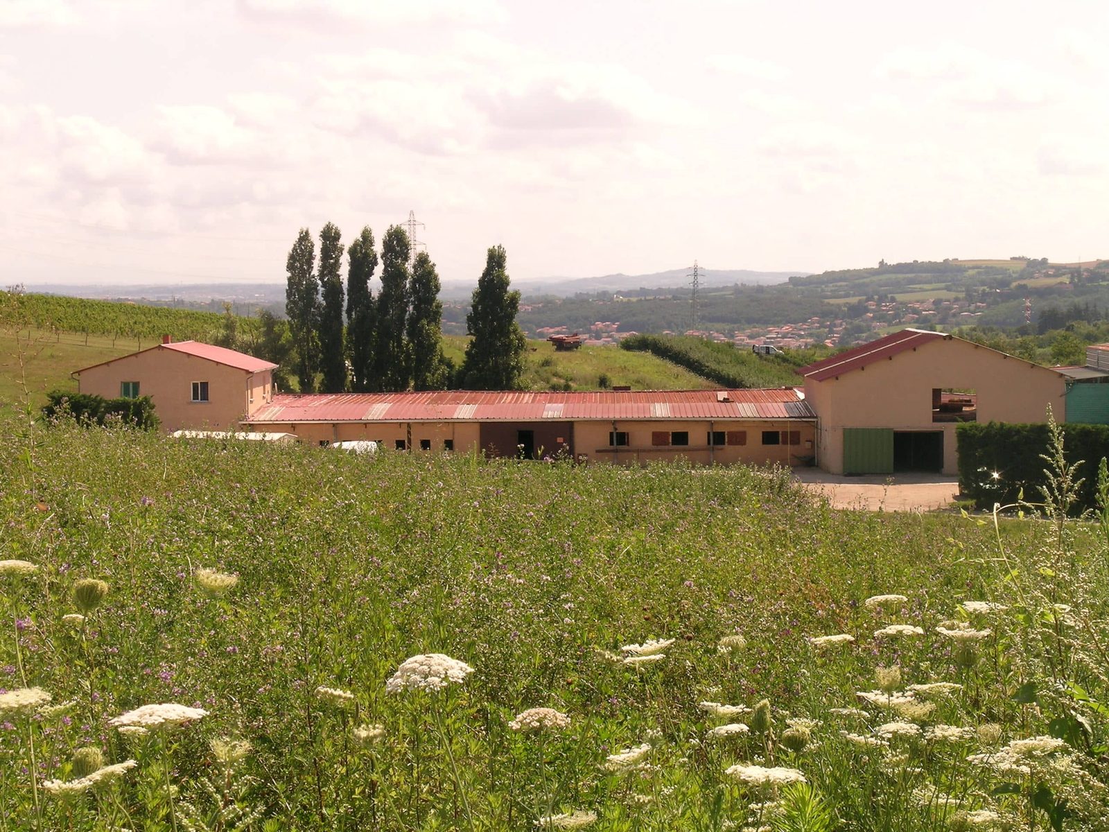 La Poneyterie