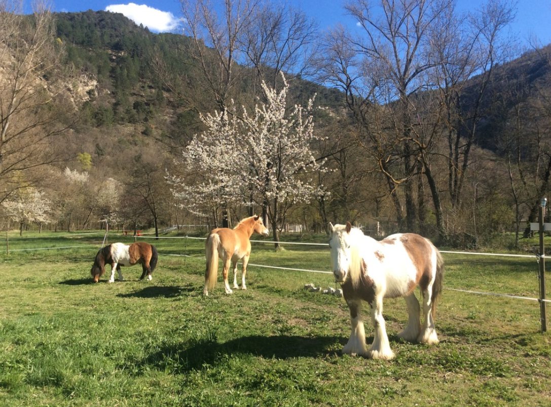 Camping des 30 pas