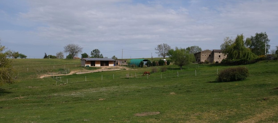Le Corral