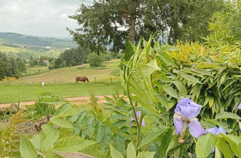 Le gîte en fleur