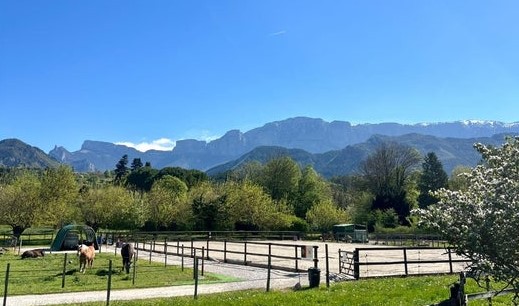 Les chevaux du Diois