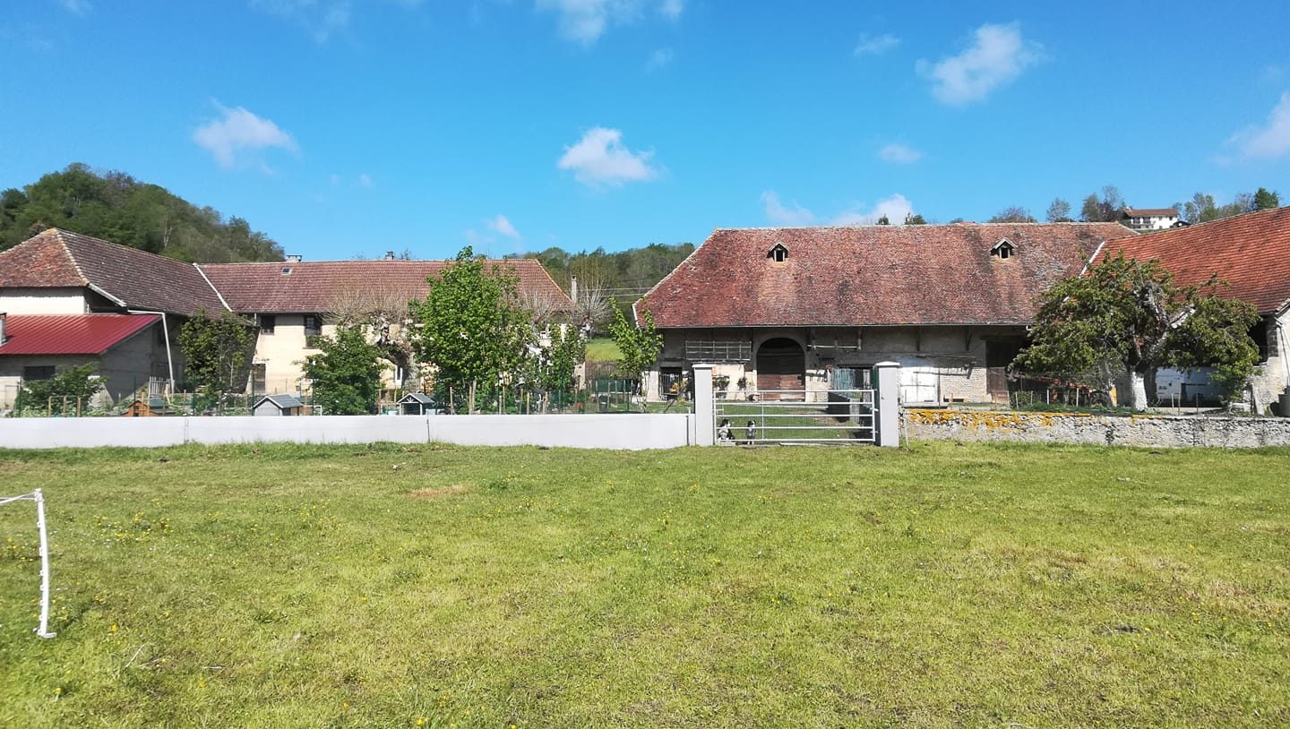 Les Poneys de la Durme