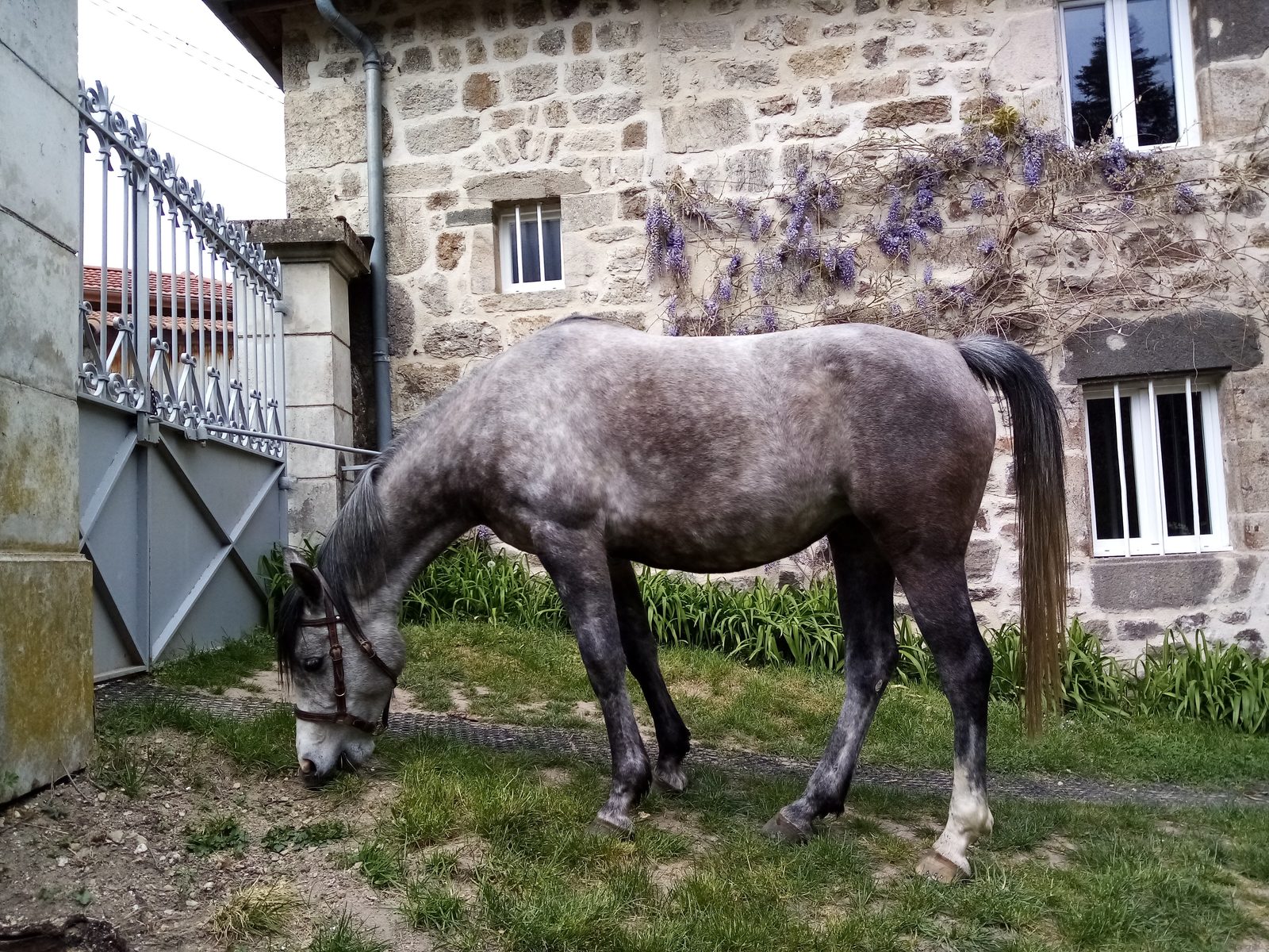 Gîte du Villard