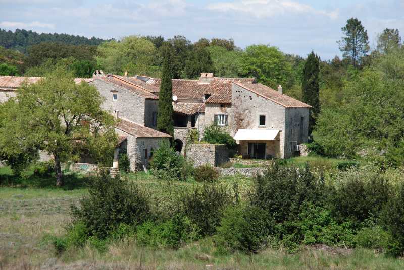 Les n'ours noir et feu