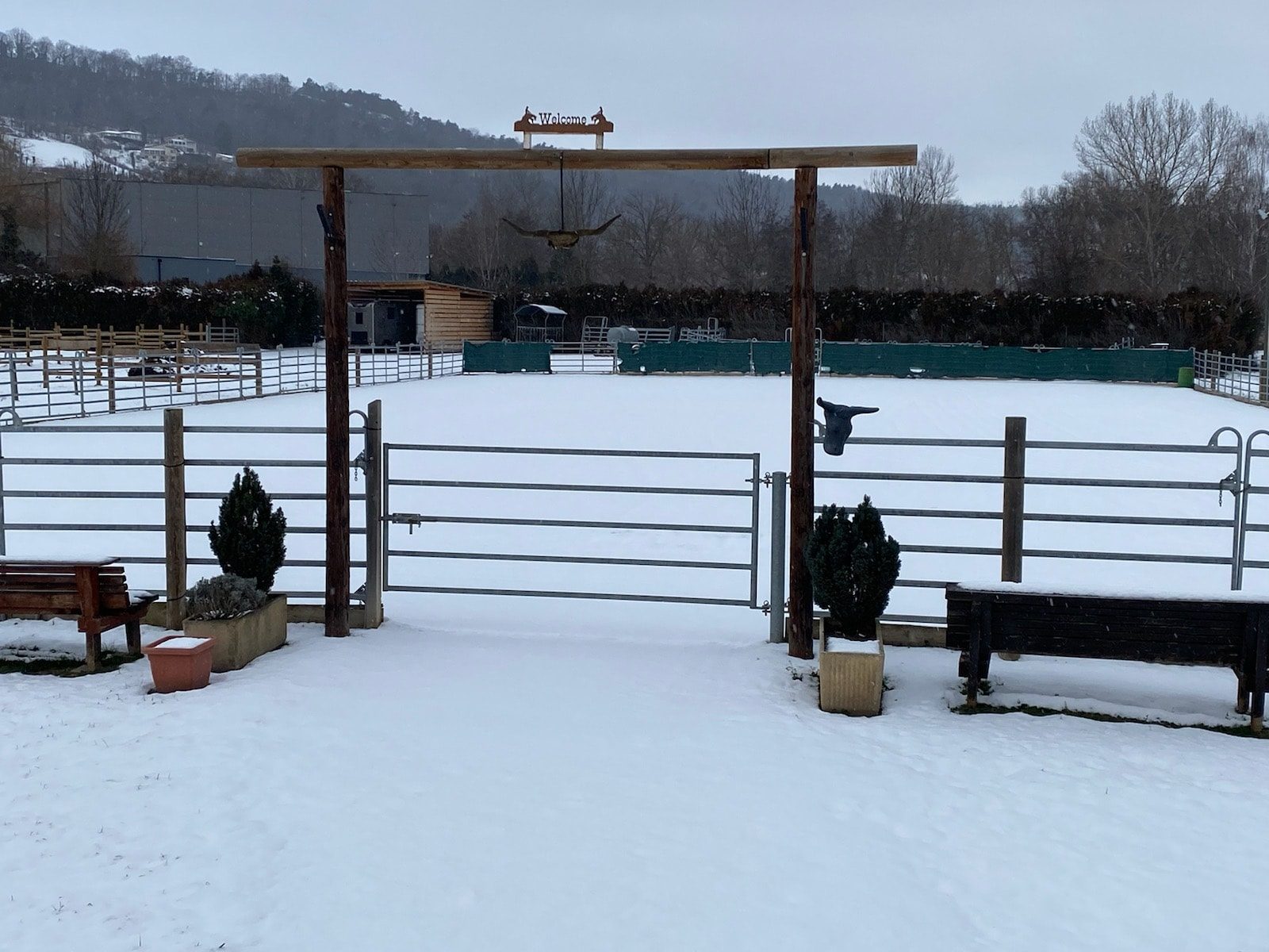 Le ranch des orgues