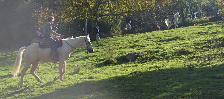 Randier Farm