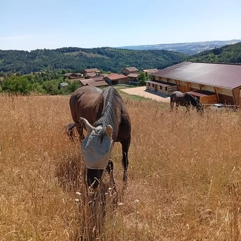 Refuge d’Estivareilles