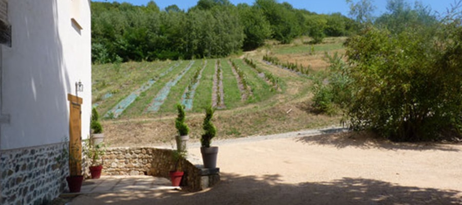 Verger Saint-Vincent