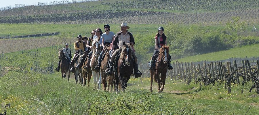 5 gîtes 5 sites en Coteaux Beaujolais