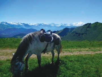 Au Pied du Mont-Blanc