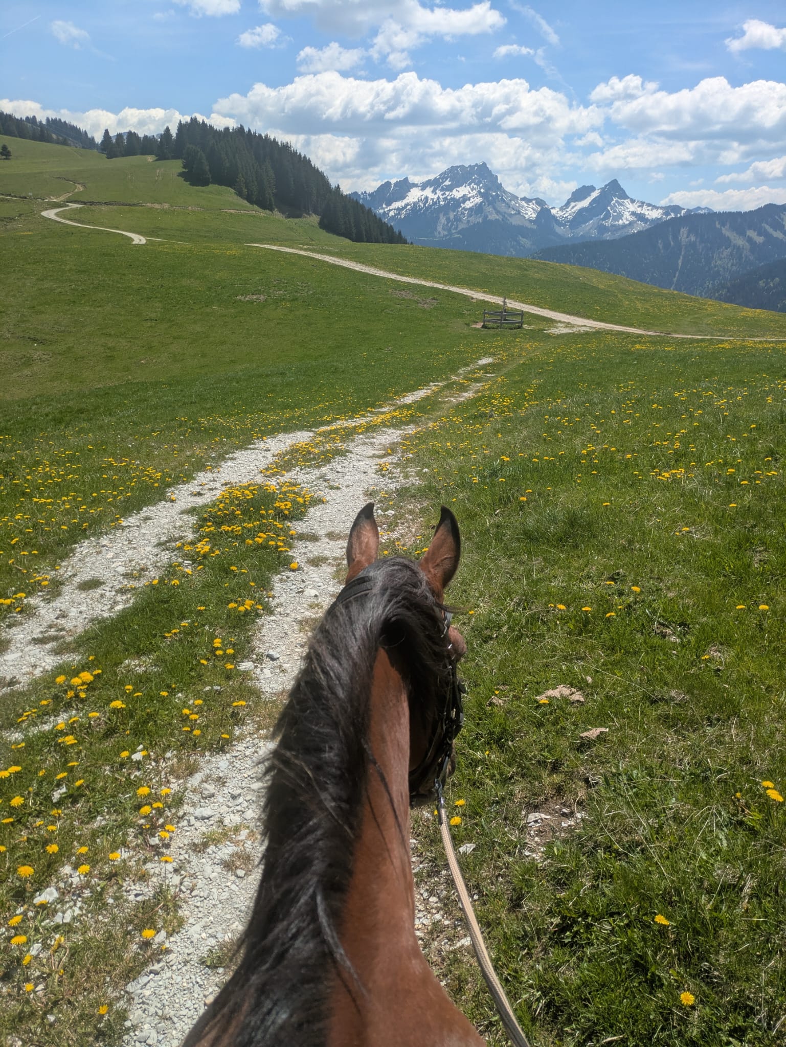 Au pied du Mont Salève