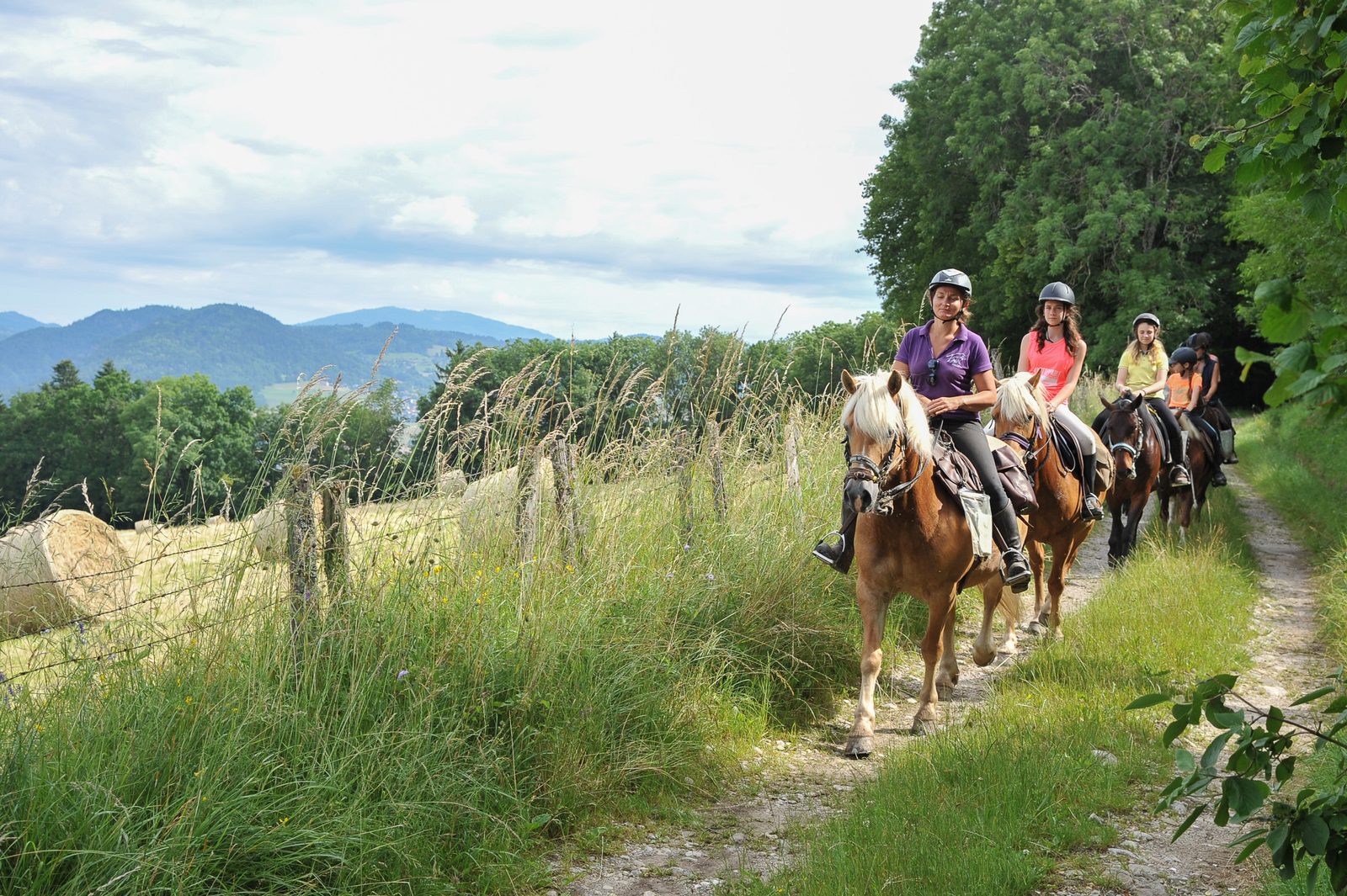Avant-pays Savoyard