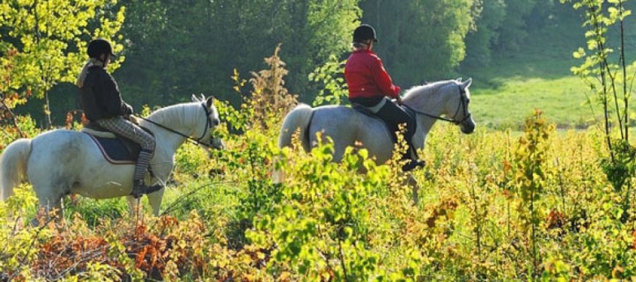 Bugey – Valromey