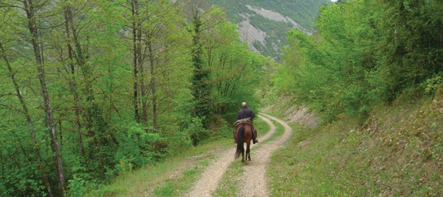 Caves et des Fours du Bugey-Sud
