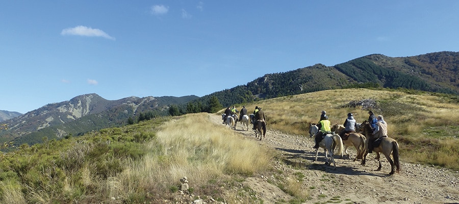 Des Cévennes au Tanargue