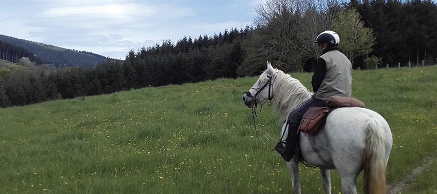 Des Monts du Lyonnais au Pilat