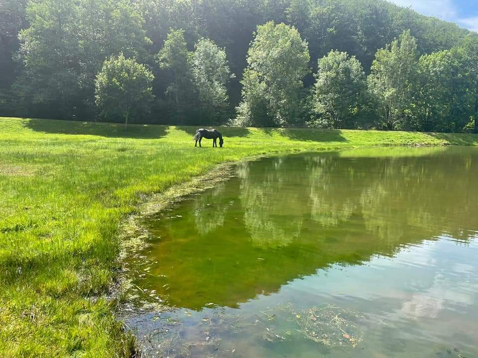 Escapade Équestre – Entre Carladès et Châtaigneraie Cantalienne