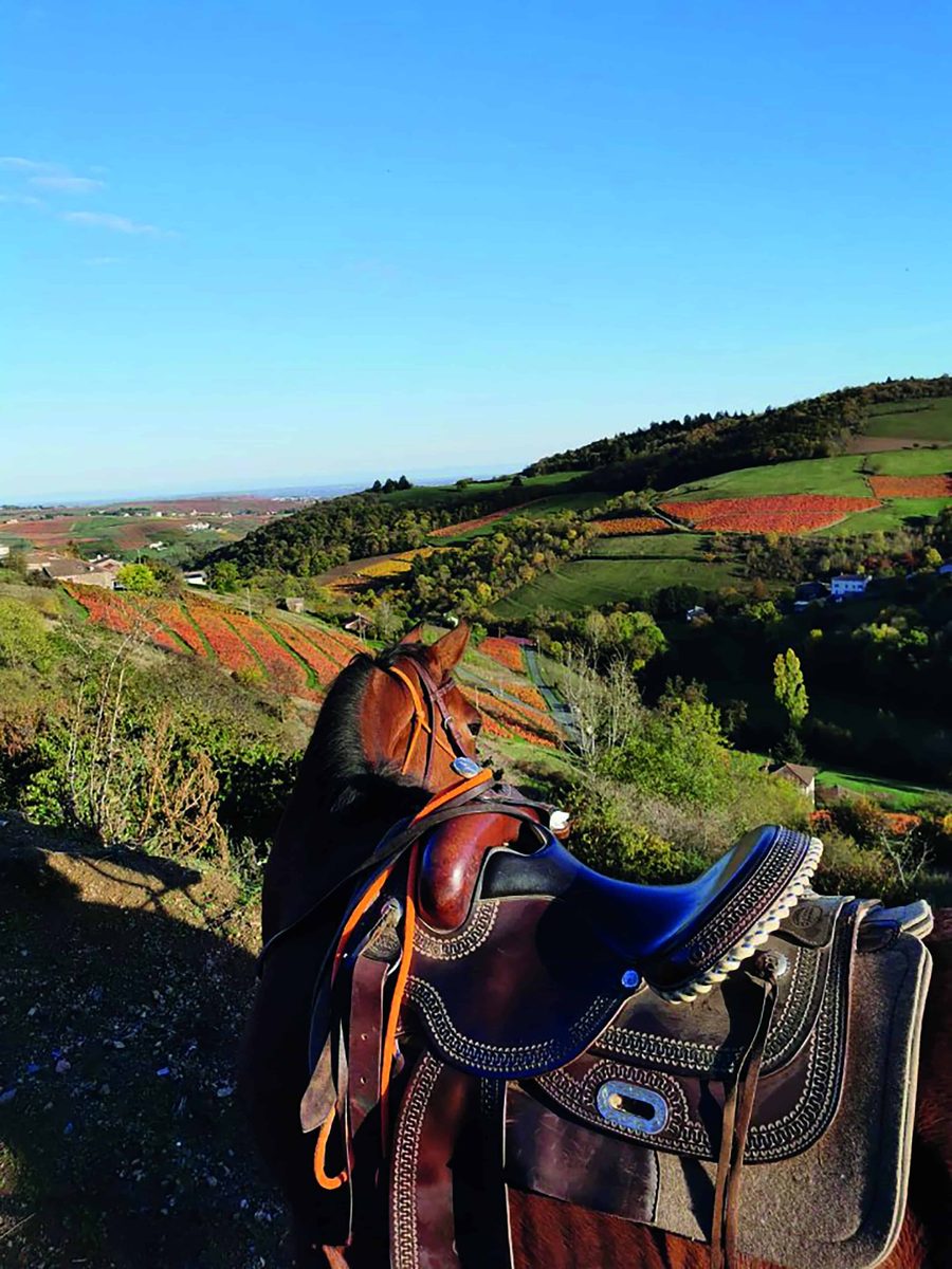 Escapade Équestre – Les Trois Beaujolais