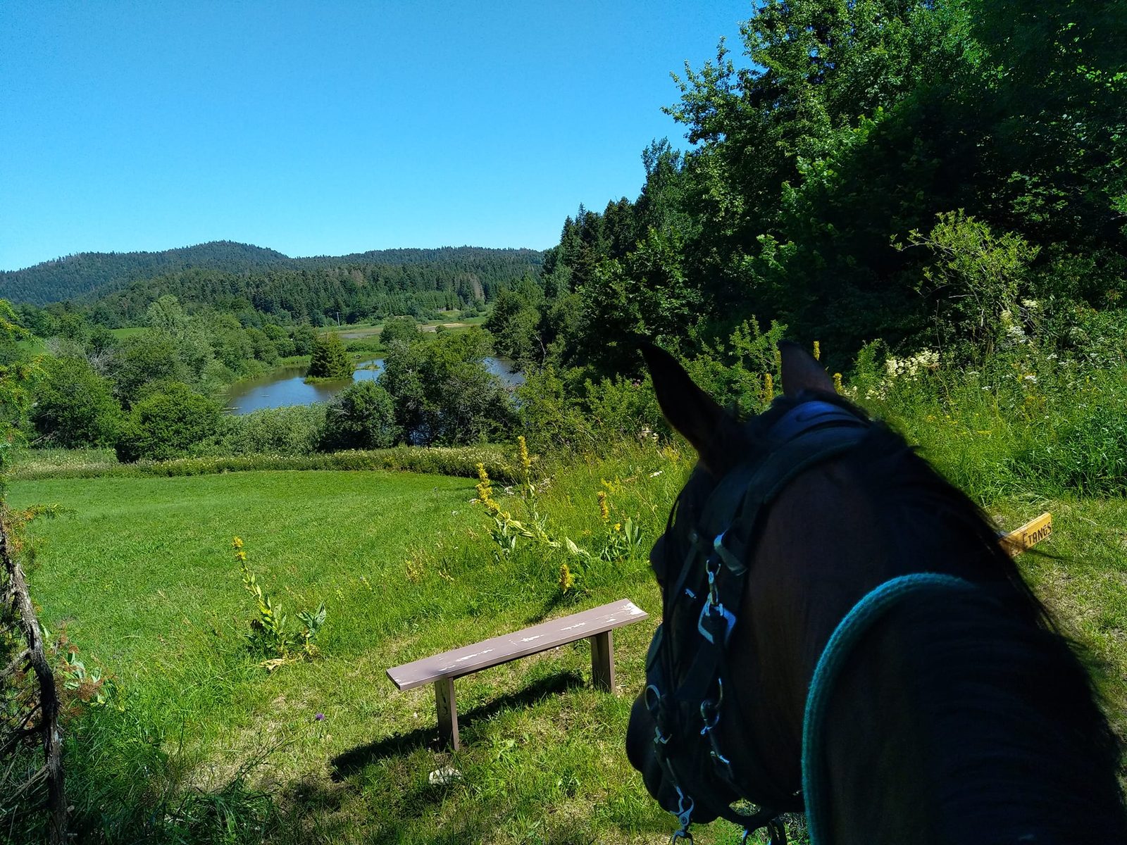 Escapade Équestre – Sur le Toit du Haut-Bugey