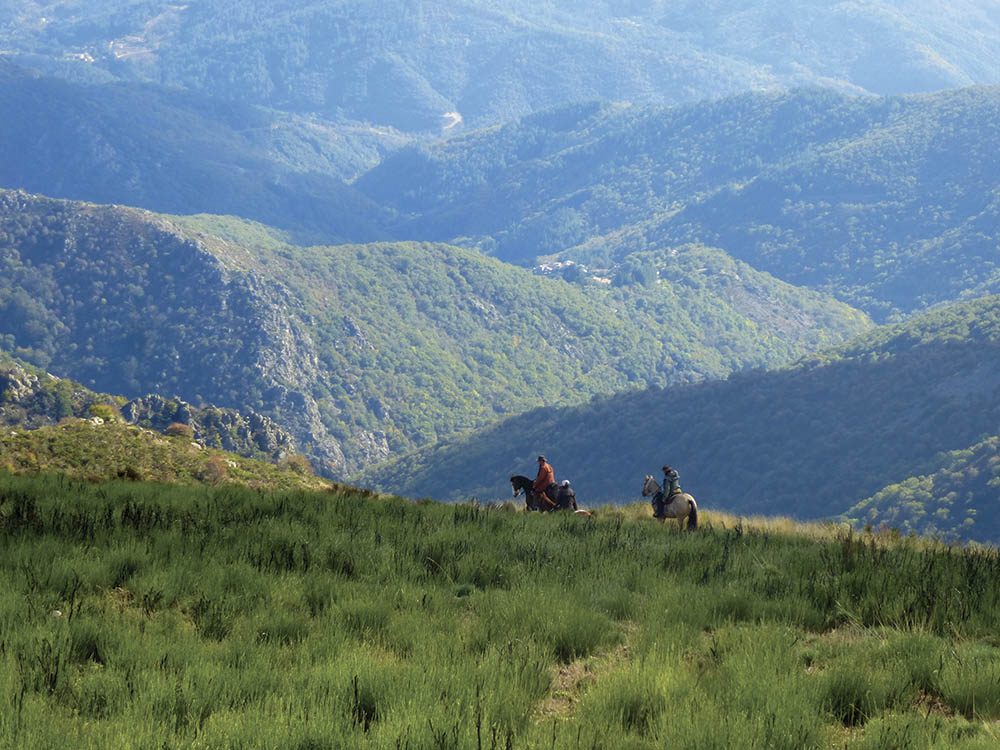 La Montagne Ardéchoise