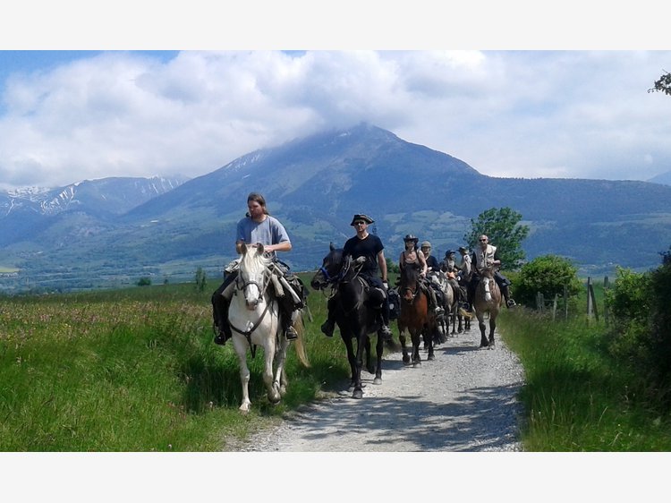 La Route Napoléon à cheval