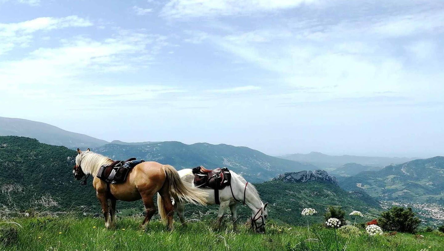 Le Vercors DAC