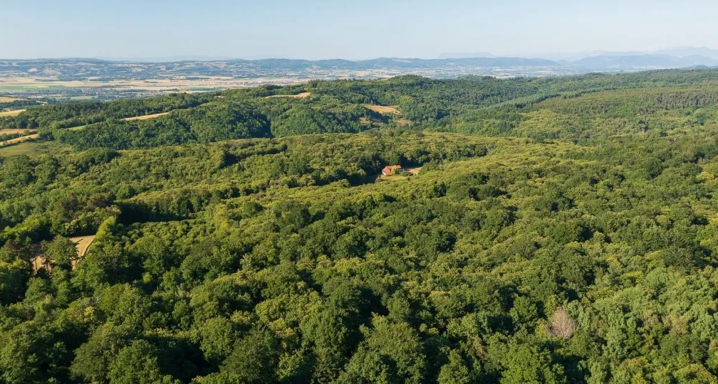 Les chambarans