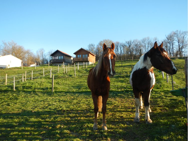 Les Chemins de Mandrin