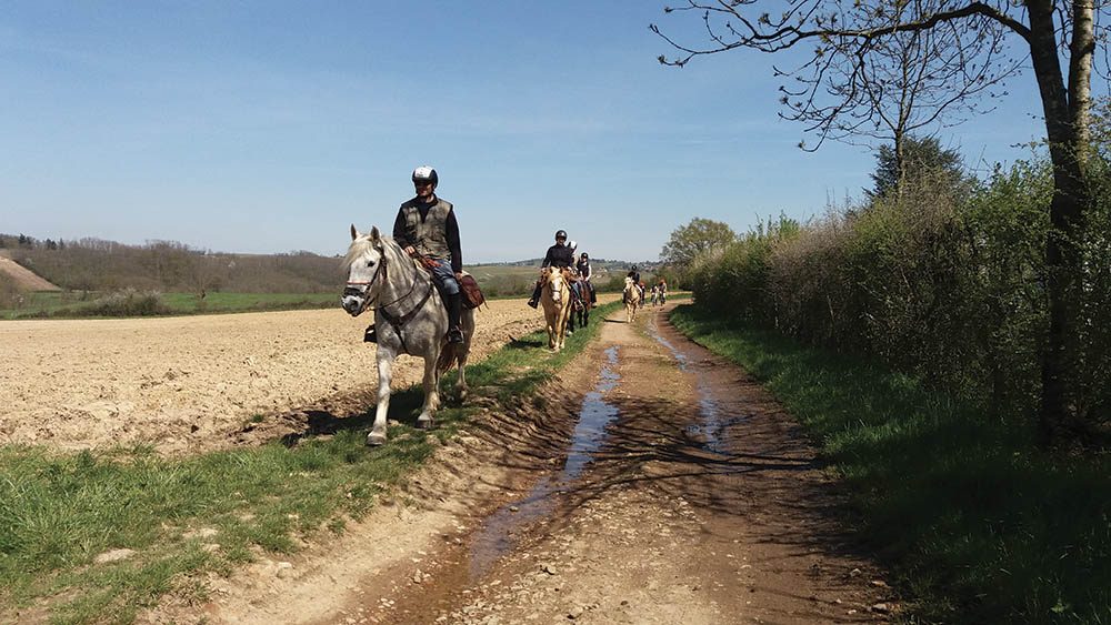 Les Monts du Lyonnais en étoile