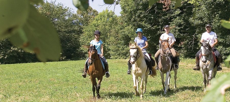 Les Trois Rivières en Montagne Bourbonnaise