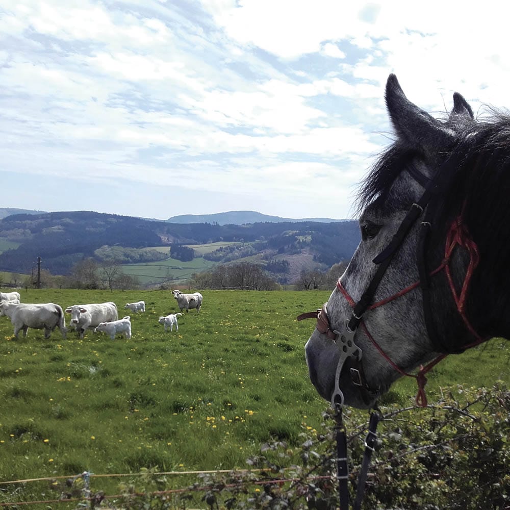 Propières, l’ouest du Beaujolais Vert