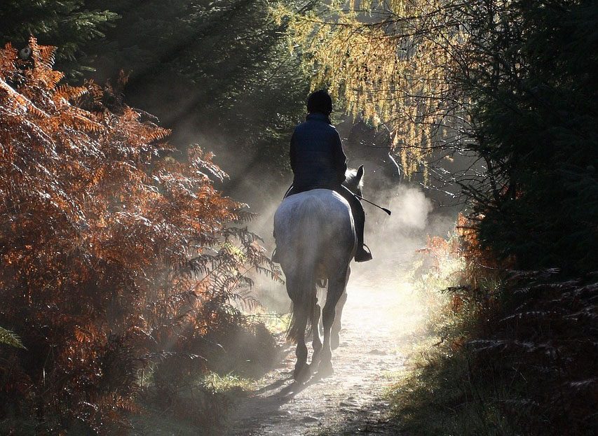 Sentier des Maîtres Sonneurs