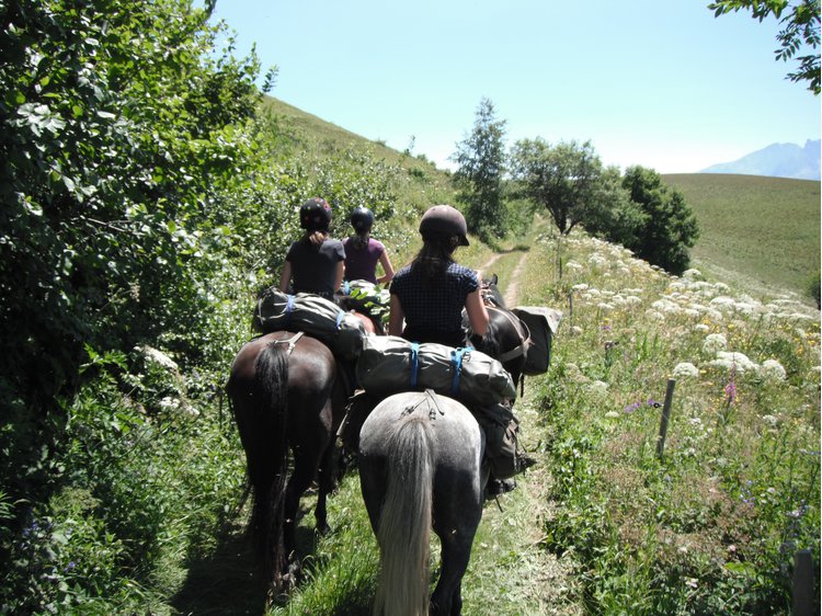 Terre d’Alpage en Matheysine