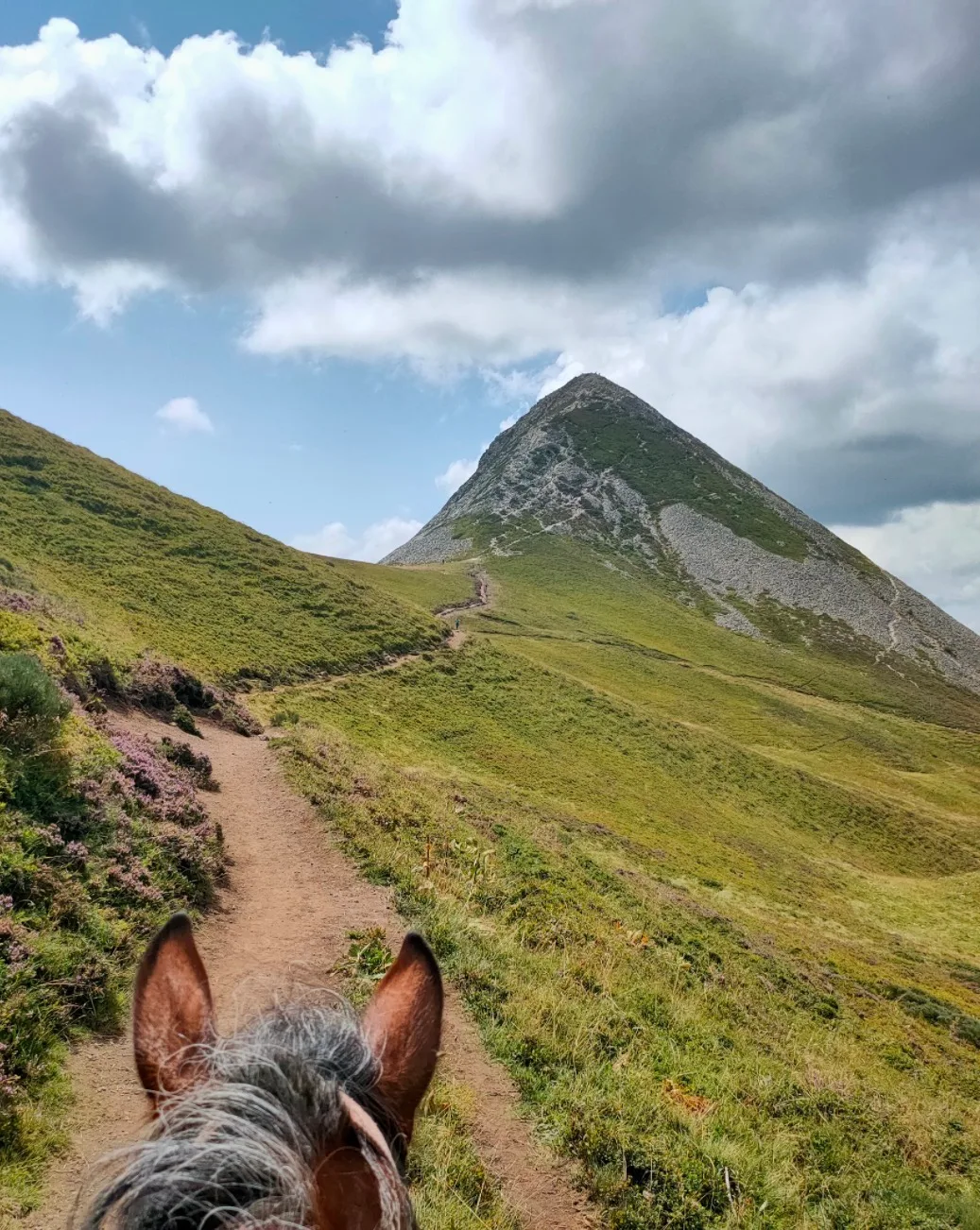 L’échappée des volcans