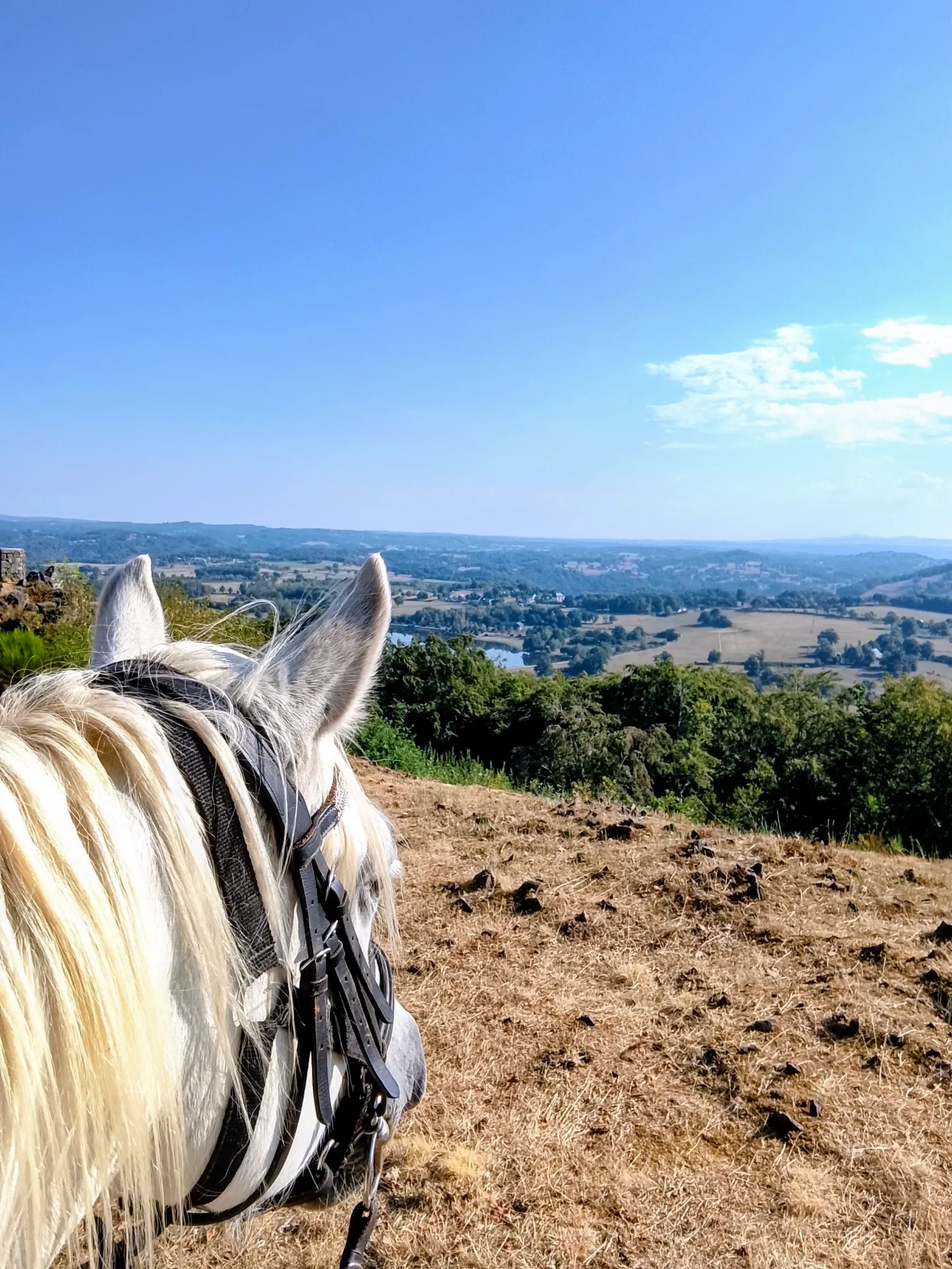 Les Templiers, entre forêt, points de vue et lac