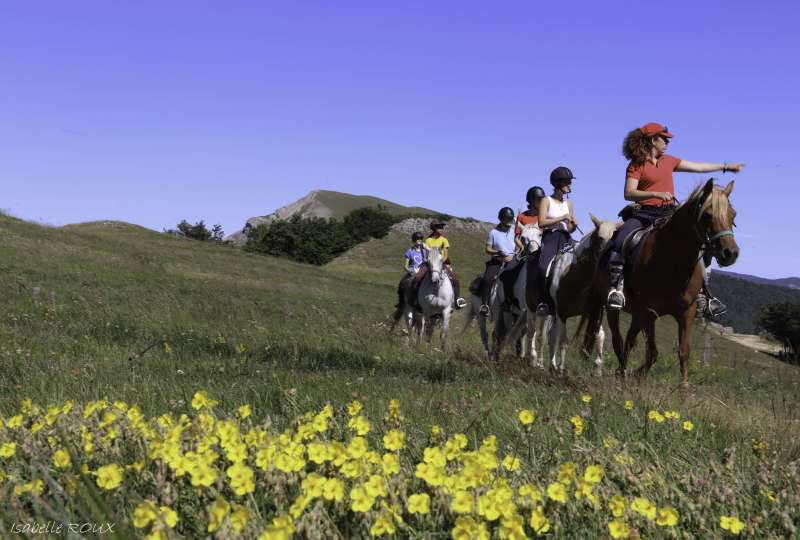 Randonnée ados (14-17 ans) Les Plateaux du Parc du Vercors