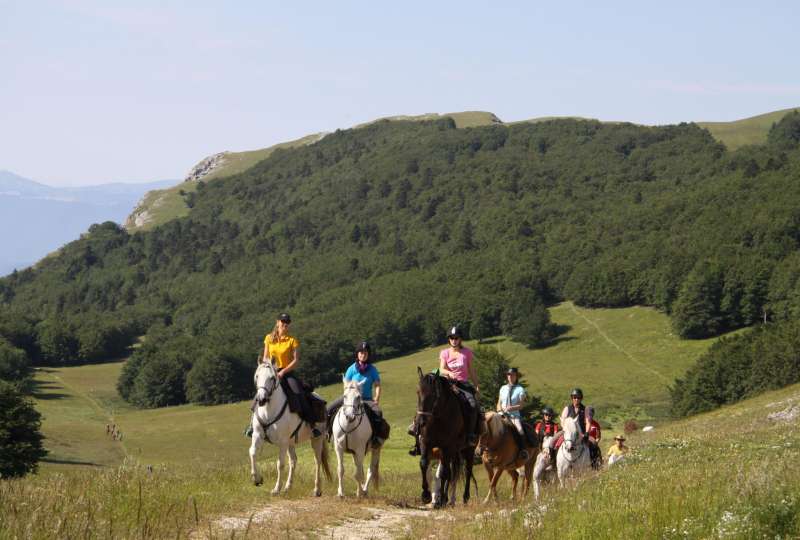Randonnée adultes Les plateaux du parc du Vercors