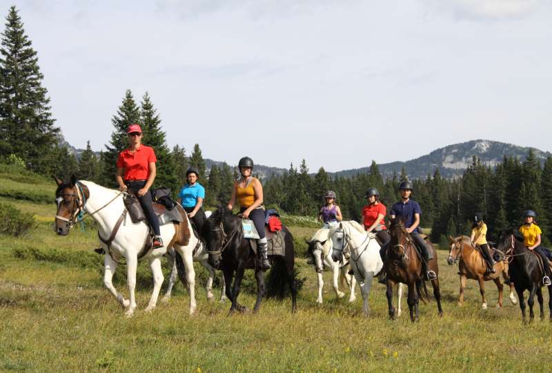 Randonnée Juniors (09-13 ans) Les alpages du parc du Vercors