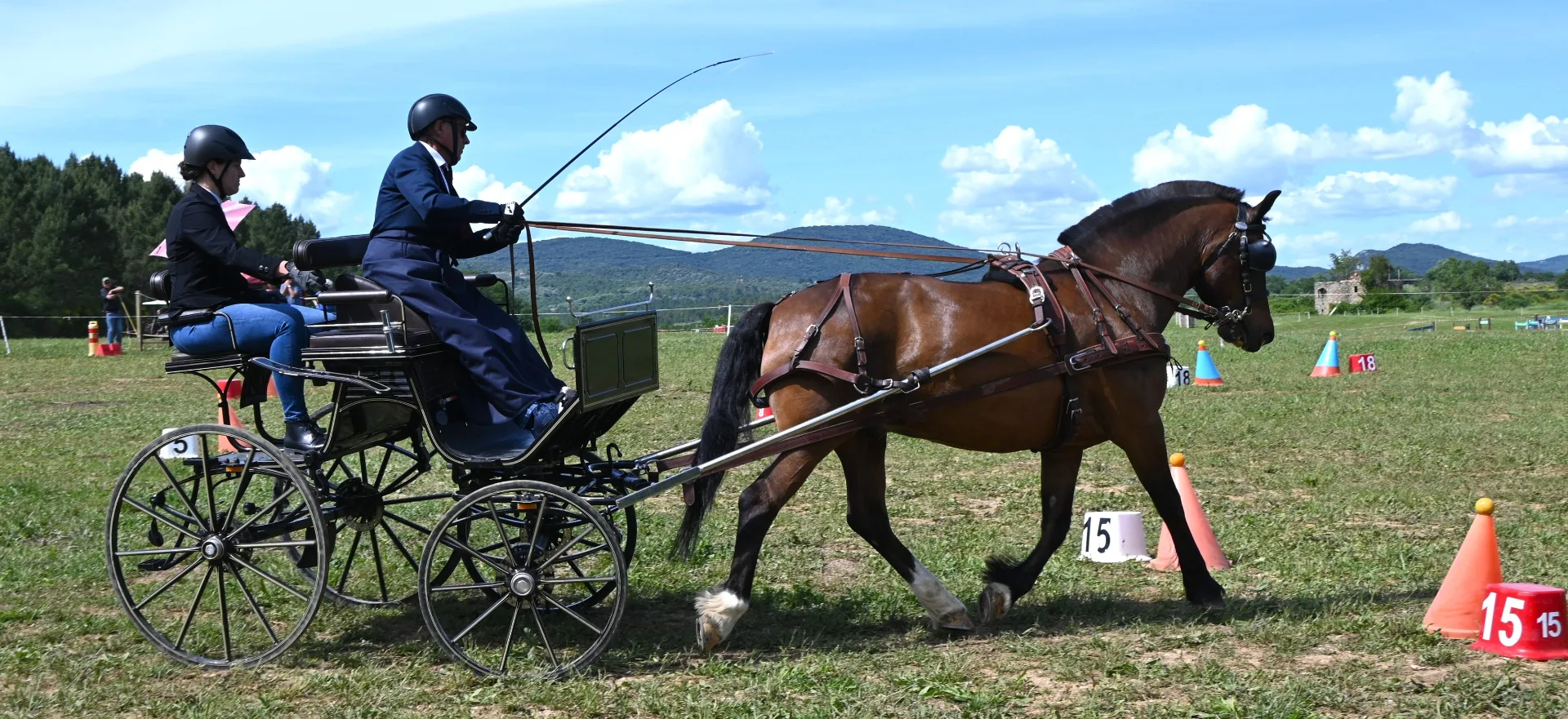 Stage attelage multi-disciplines