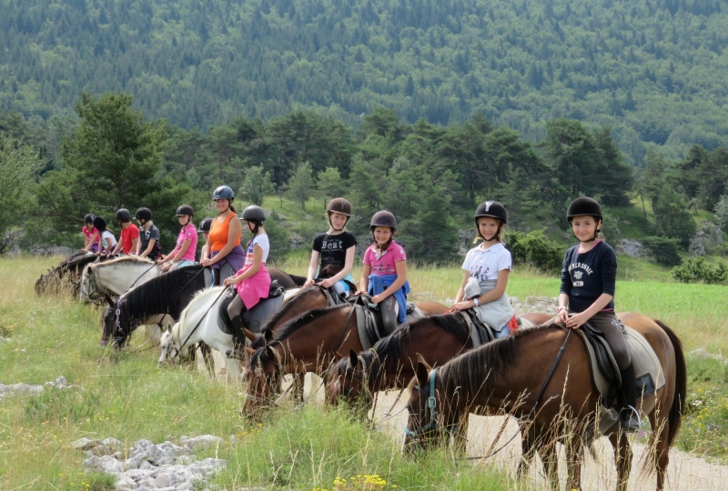 Stage Chiens et Poneys (09-11 ans) dans le parc régional du Vercors