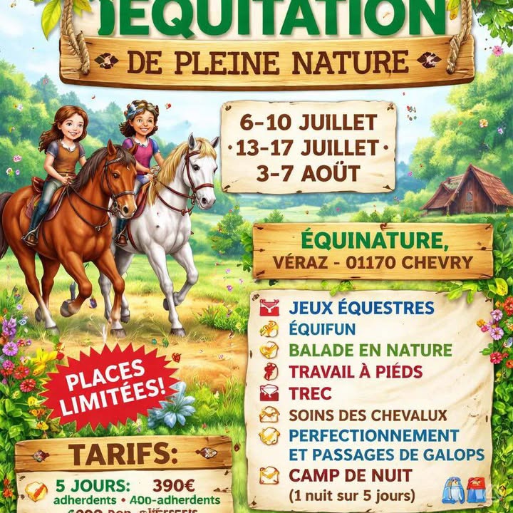 Stage Equitation de pleine nature