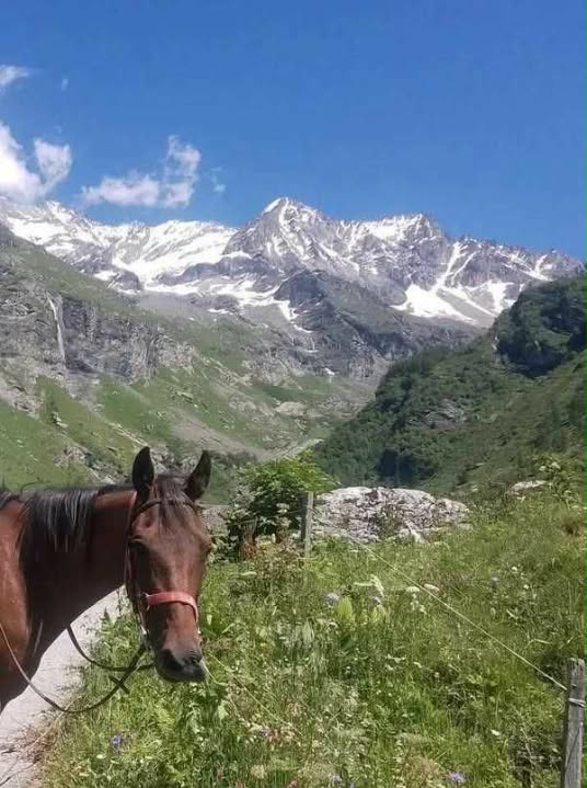 Voyage au pays des marmottes - entre lacs et glaciers - Parc National de la Vanoise